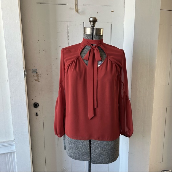 Express Rust Sheer Balloon Puff Sleeve Dress Work Shirt Blouse Top - Picture 13 of 13